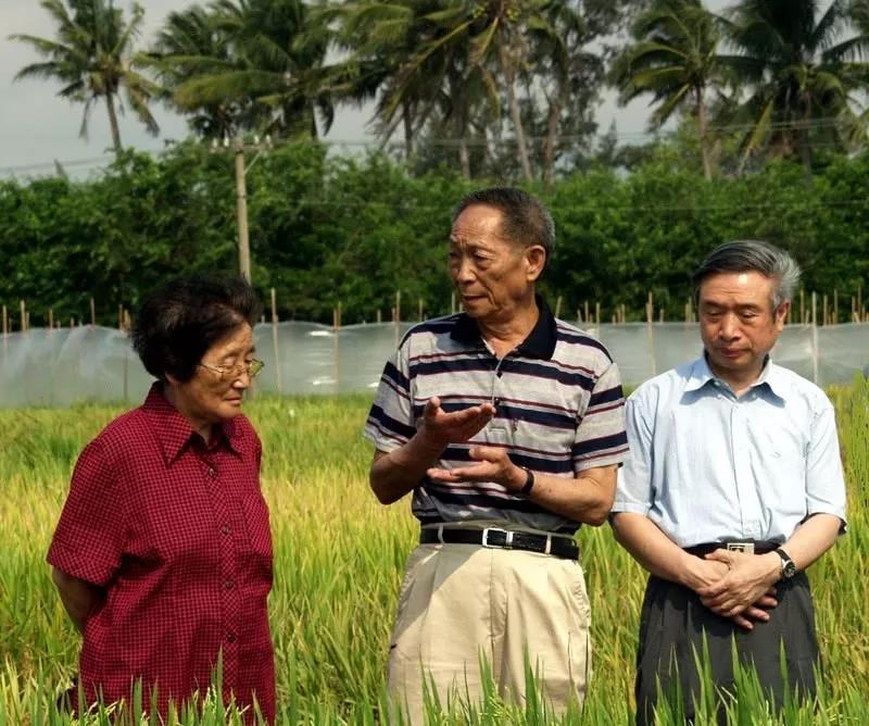 她与袁隆平、向仲怀.jpg