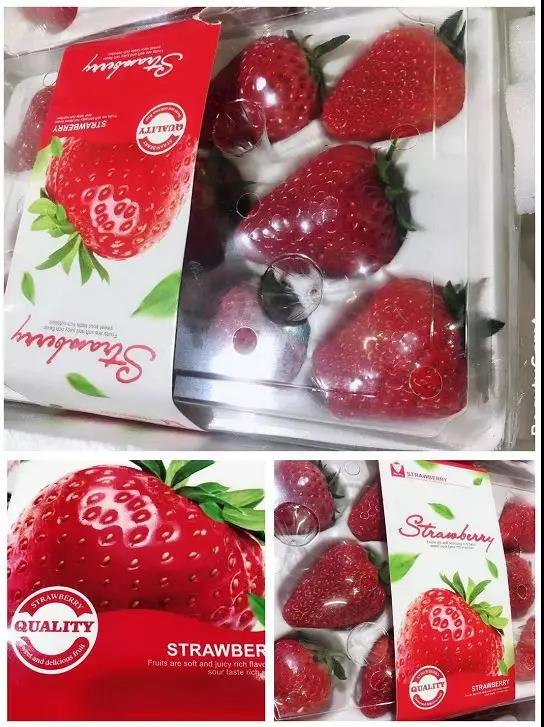 川宝近期热销的草莓.jpg